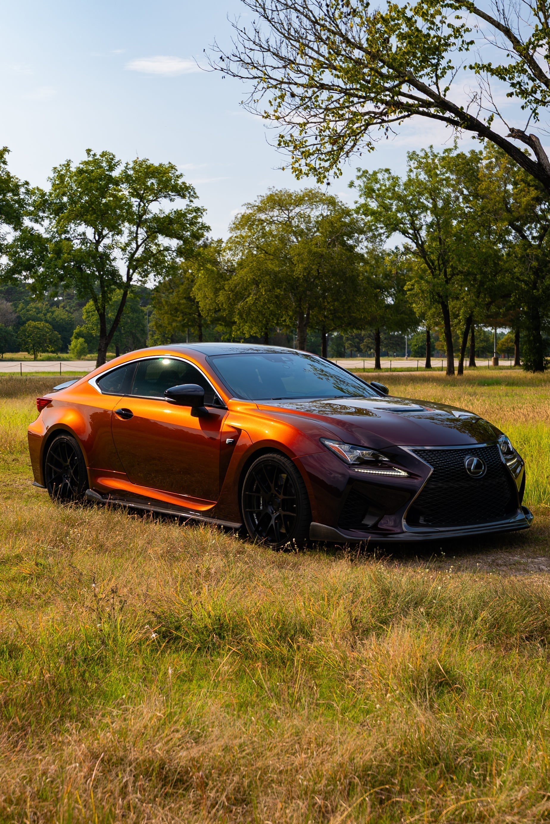 PAINT PROTECTION FILM
